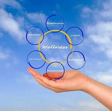 Ocala Functional Medicine Tampa Bay Wellness