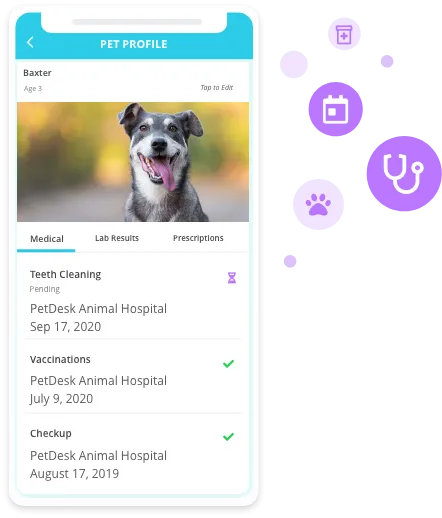 PetDesk on Phone