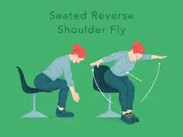 Seated Reverse Shoulder Fly
