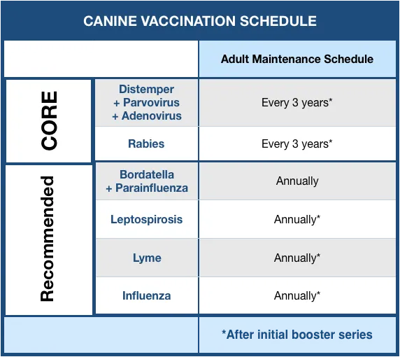 canine Vaccination Schedule