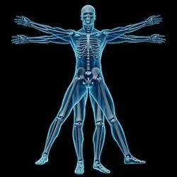 Brief History of Chiropractic