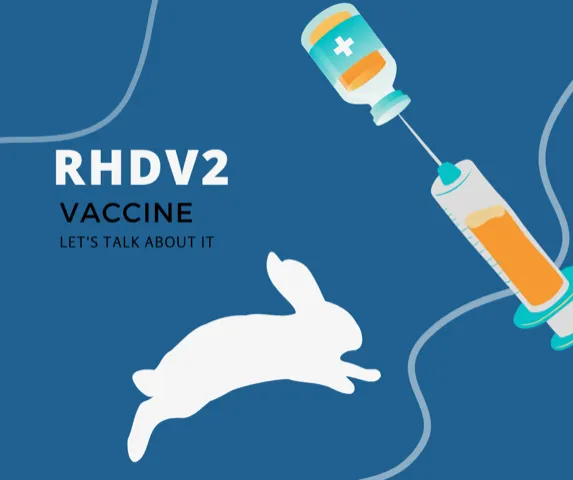 rhdv2 vaccine img
