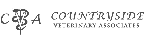 Countryside Veterinary Associates