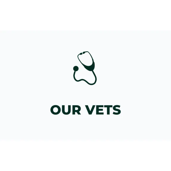 Our veterinarians