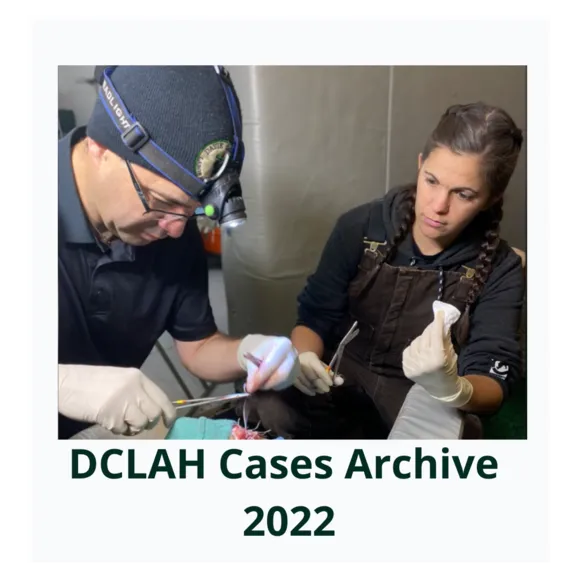 DCLAHCasesArchive2022Cover 