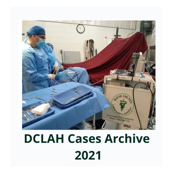 DCLAHCasesArchive2021Cover 