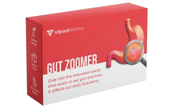 Gut  zoomer