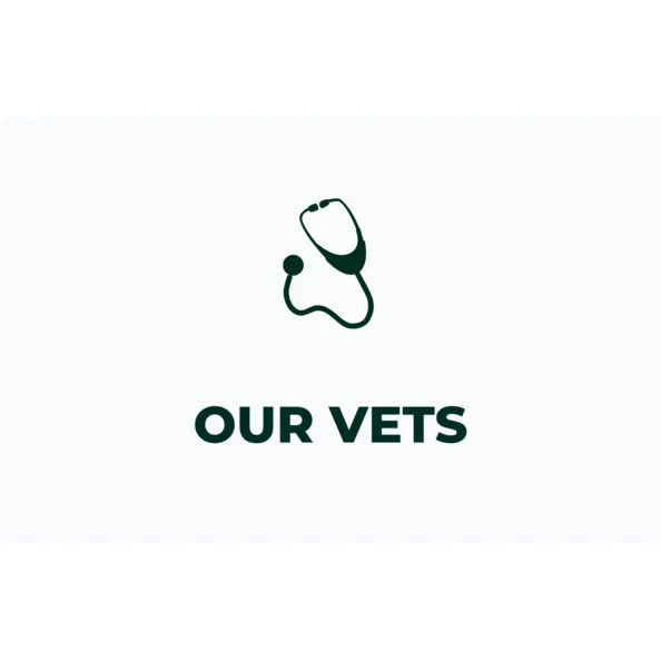 Our vets