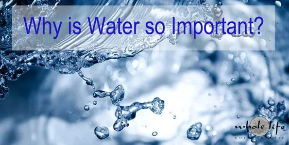 August Newsletter Why is Water so Important