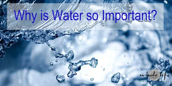 August Newsletter Why is Water so Important