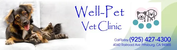 Call best sale pet vet