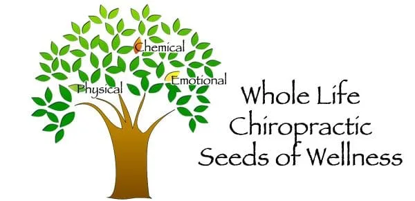 Seeds of Wellness