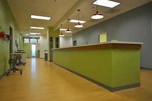 Little Oaks Pediatrics