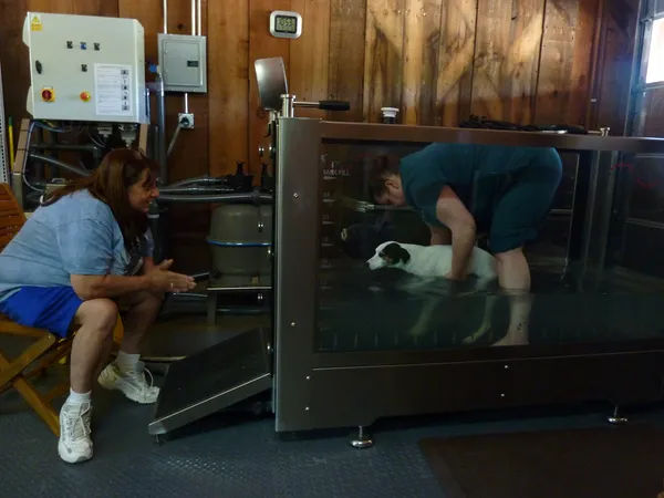 underwater treadmill