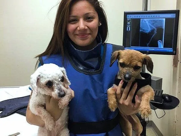 Employee with 2 dogs