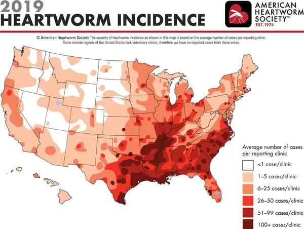 american heartworm society 2019 incidence map