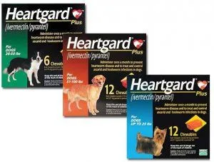 Heartgard.JPG