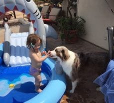 Children And Dogs