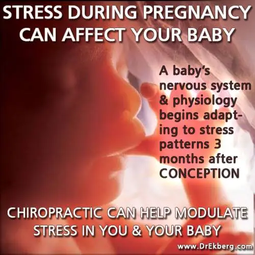 pregnancy chiropractic