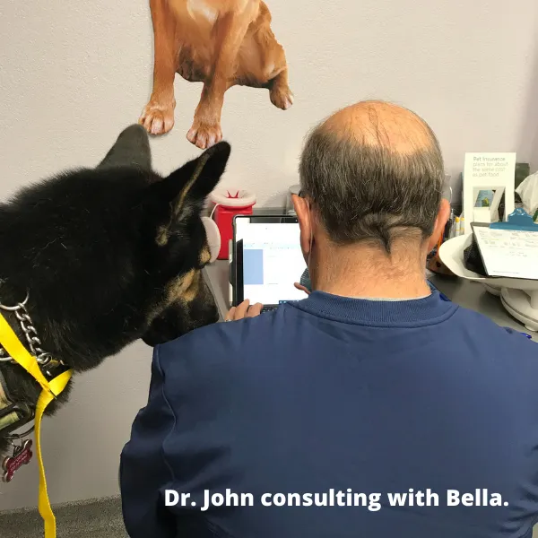 Dr. John consulting with Bella