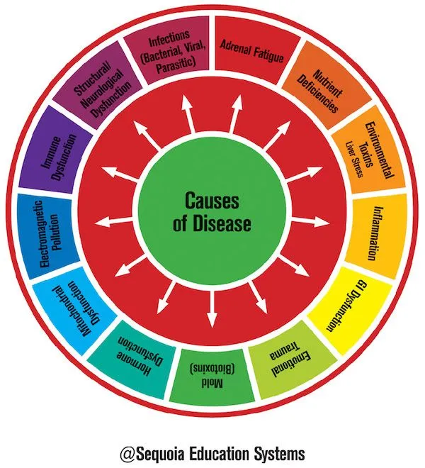 Our Functional Nutrition Screening uses comprehensive testing to get to the underlying cause of the problem. 