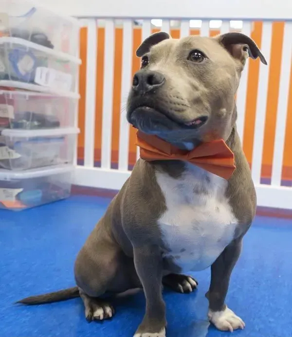 Chiropractor Near Denver NC