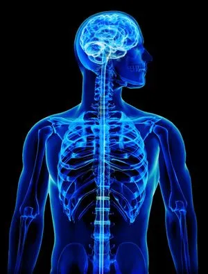 Craniosacral Therapy Image Depositphotos_6831107_s