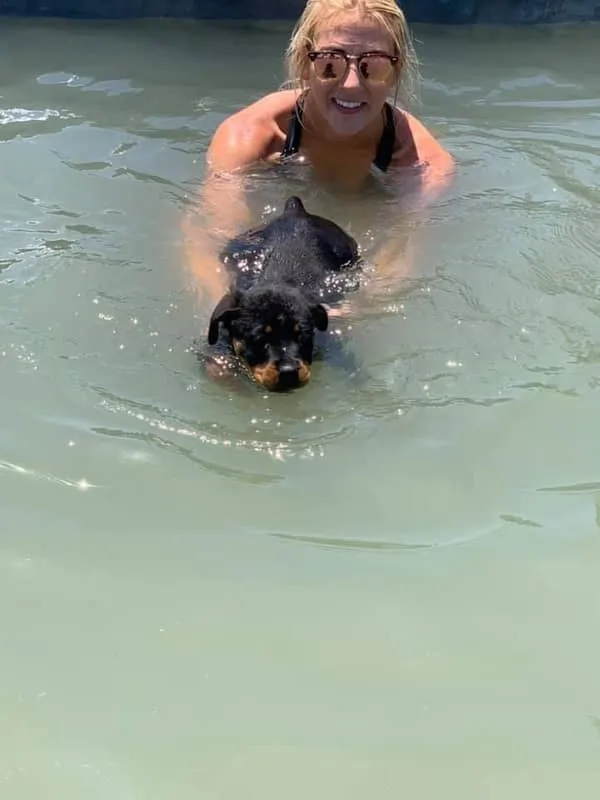 puppy pre k swim lessons 