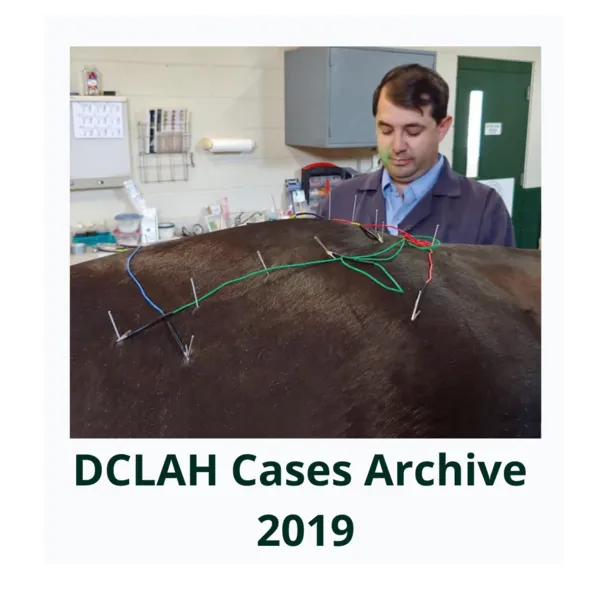 DCLAHCasesArchive2019Cover 