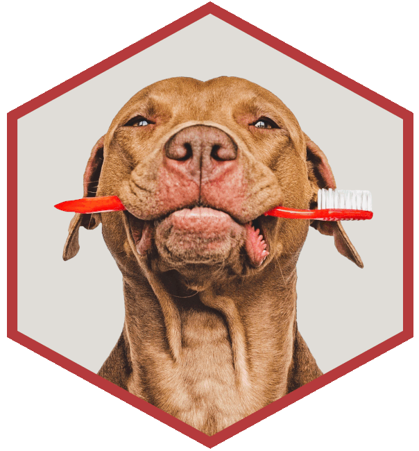 Dog with Tooth Brush