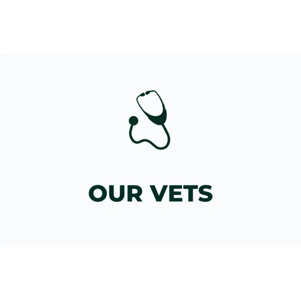 Meetourvets