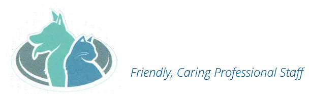 Clarence Street Veterinary Clinic