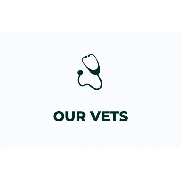 MeetOurVeterinarians