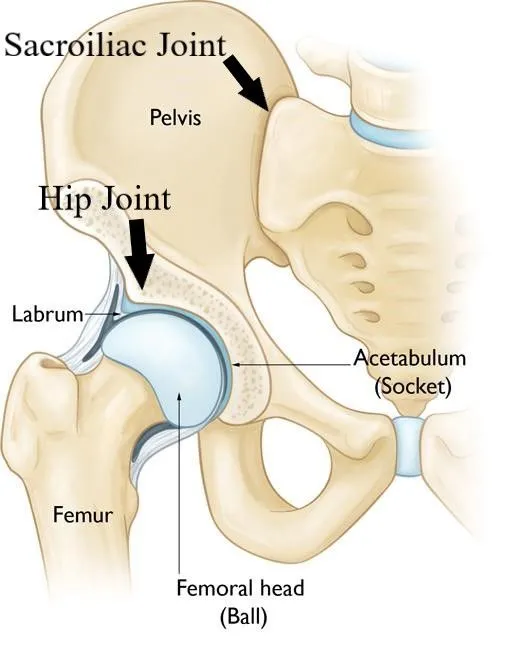 hip vs SI