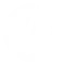 White Podiatry Logo