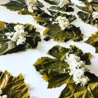 Stuffed Vine Leaves