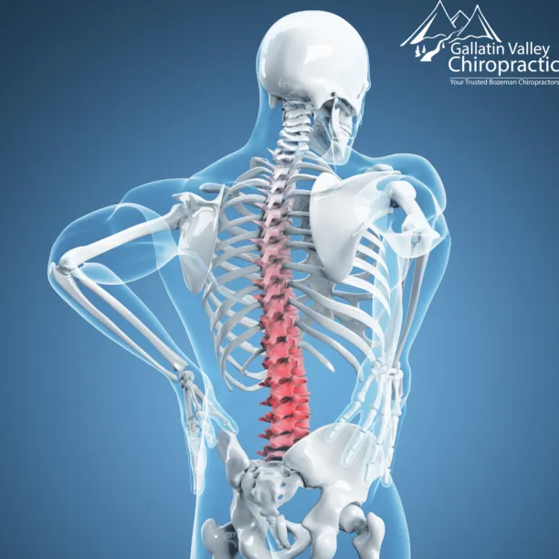 Lower back pain treatment bozeman mt