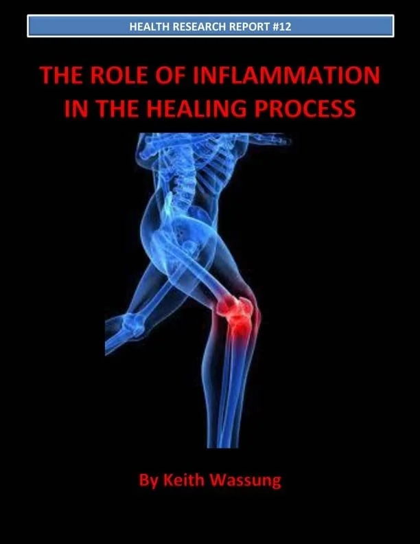 the_role_of_inflammation_in_the_healing_process_MASTER1