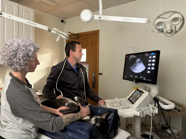 Dr. Adam Deeke and V ultrasound