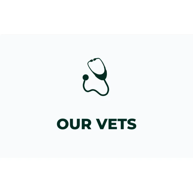 Ourveterinarians