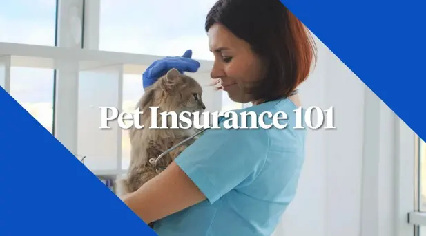 Pet Insurance 101