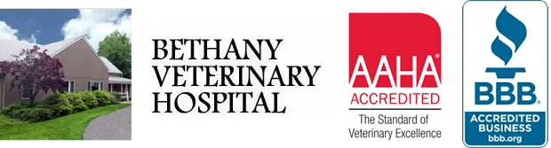 Bethany Veterinary Hospital