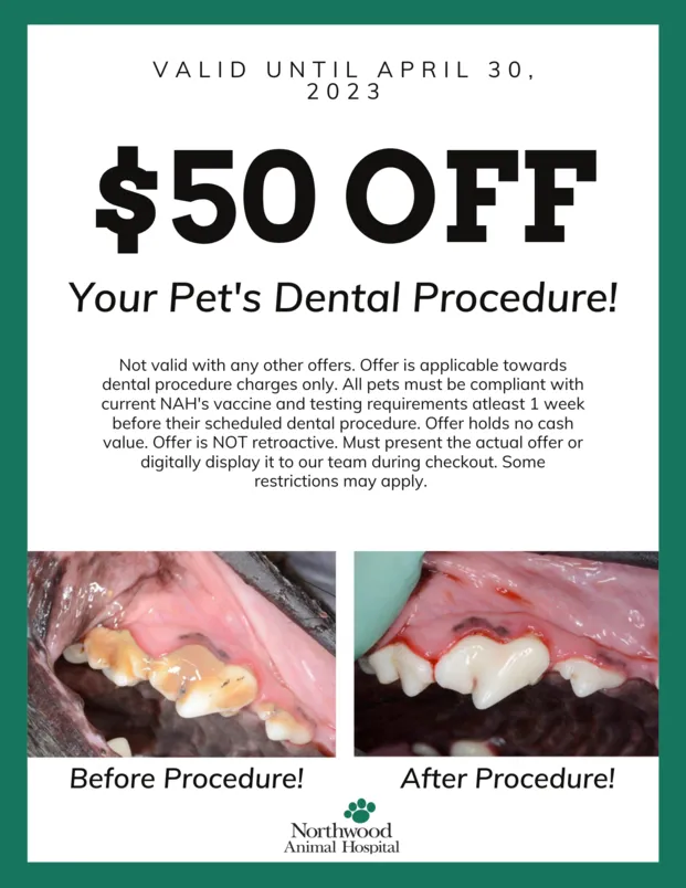 nah dental coupon 2023