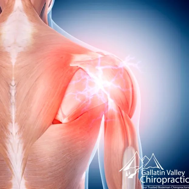 Shoulder pain chiropractor bozeman