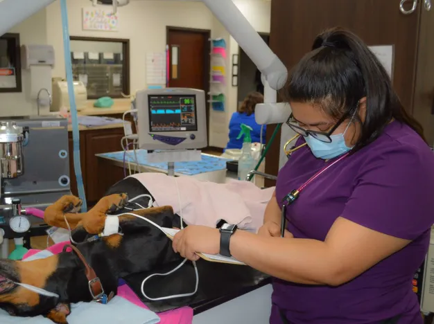 Technician monitoring patient