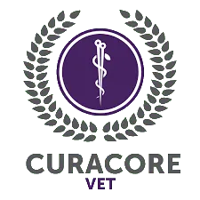 CuraCore