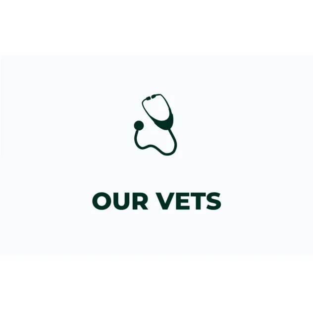 Our veterinarians