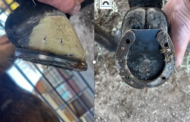 finished product (N Oetter)