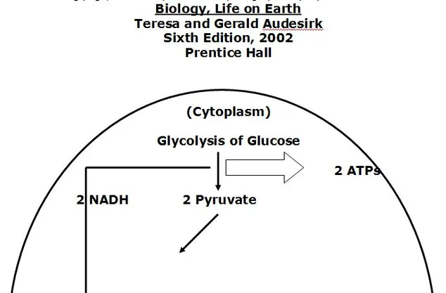 Tissue Healing and Low Level Laser Article