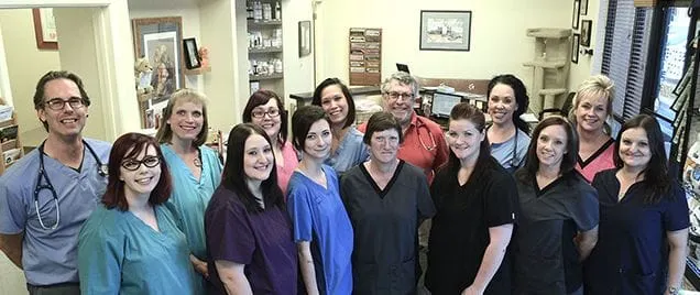Lookout Mountain Veterinary Team